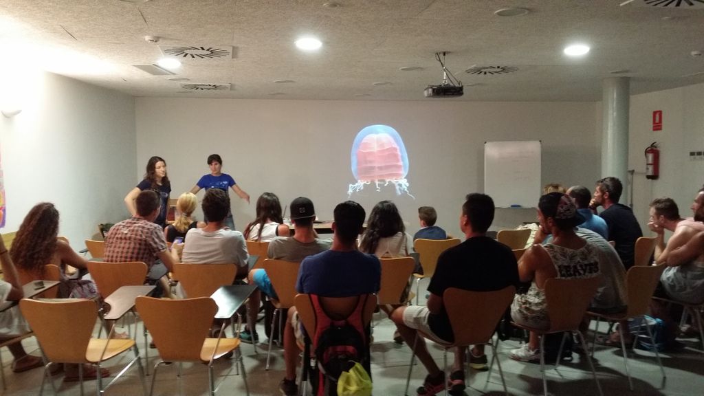 Poca presència de meduses a les platges de Malgrat aquest estiu