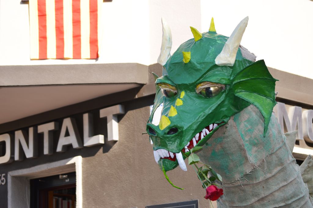 Sant Jordi es viu al carrer