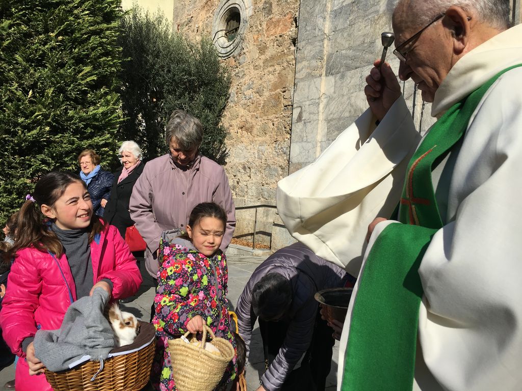 Festa de Sant Antoni Abat, el diumenge 28 de gener
