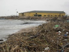 Netegen la platja dels efectes de la llevantada          