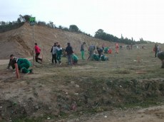 300 nous arbres a la zona verda de can Patalina         