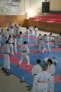 Trobada Internacional de Tai-jitsu         