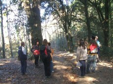 El Montnegre, un plaer         