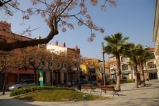 Les obres de millora del passeig de Llevant s'iniciaran passat l'estiu         