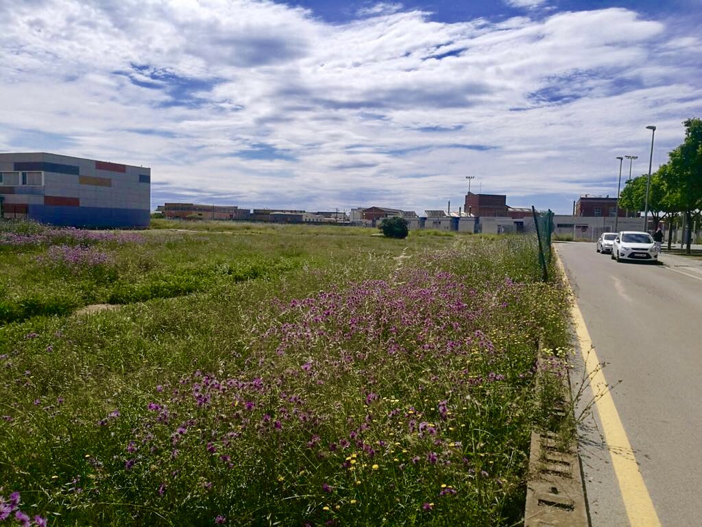 La pista polivalent es construirà al costat del camp de futbol