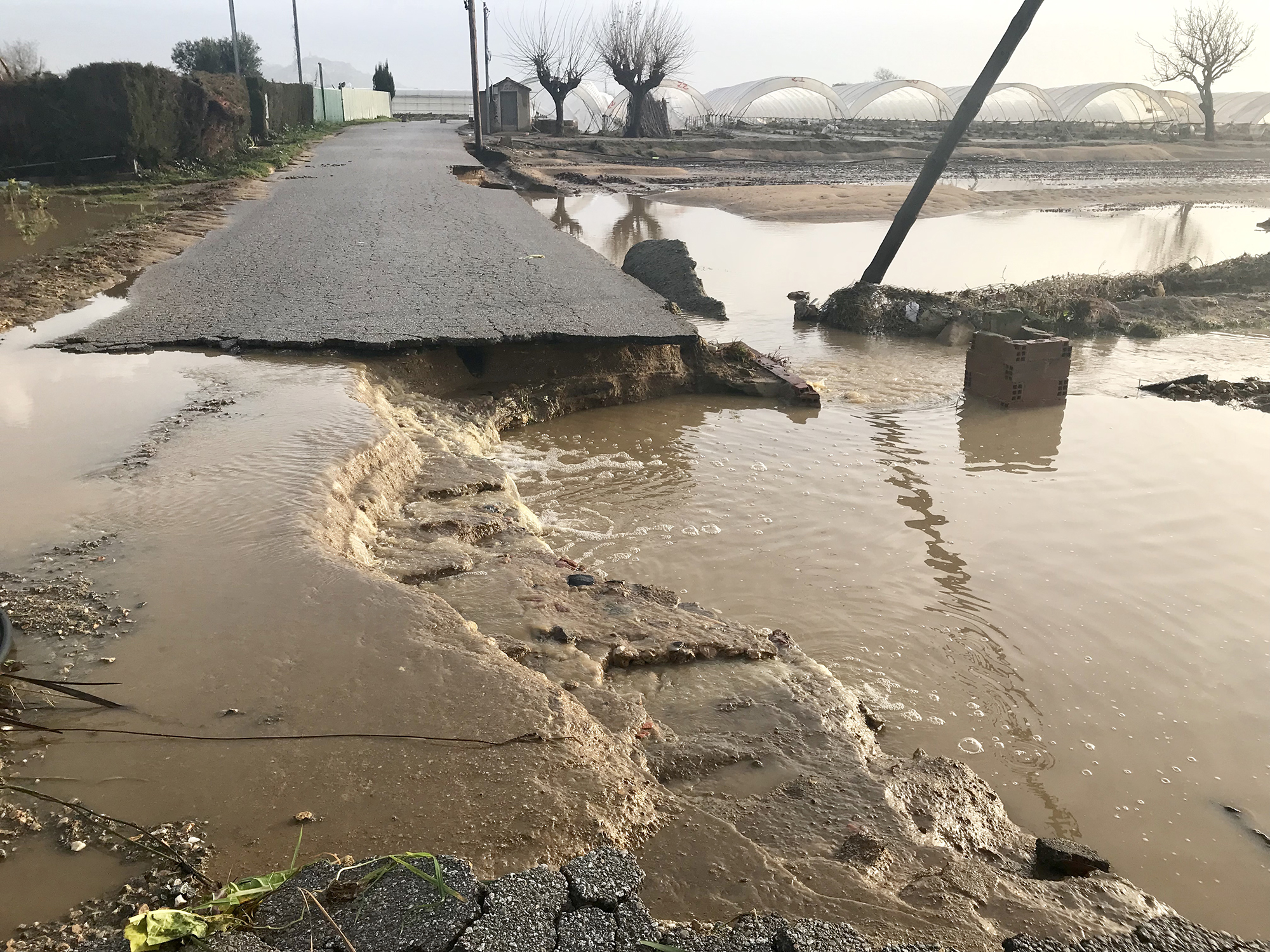 L'Ajuntament ofereix un servei d'informació i assessorament per als afectats del temporal Glòria