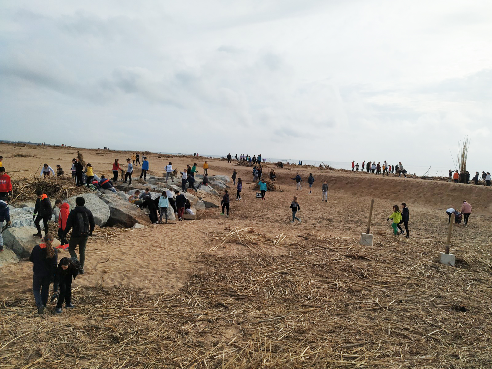 1.400 nens i nenes de totes les escoles han participat avui en una jornada de neteja de la platja 