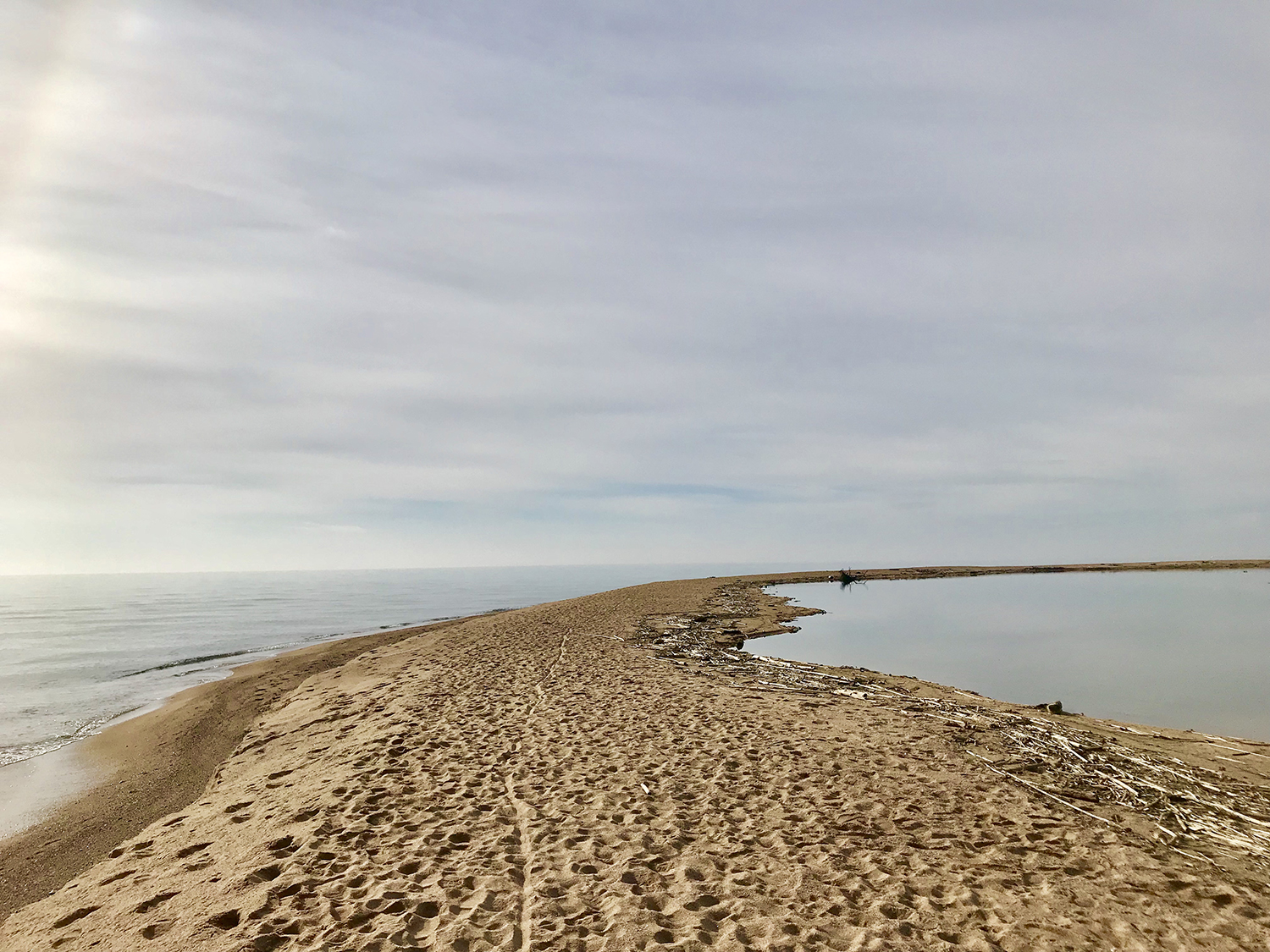 Malgrat i Blanes demanen que es declari reserva natural parcial la llacuna de la desembocadura de La Tordera 