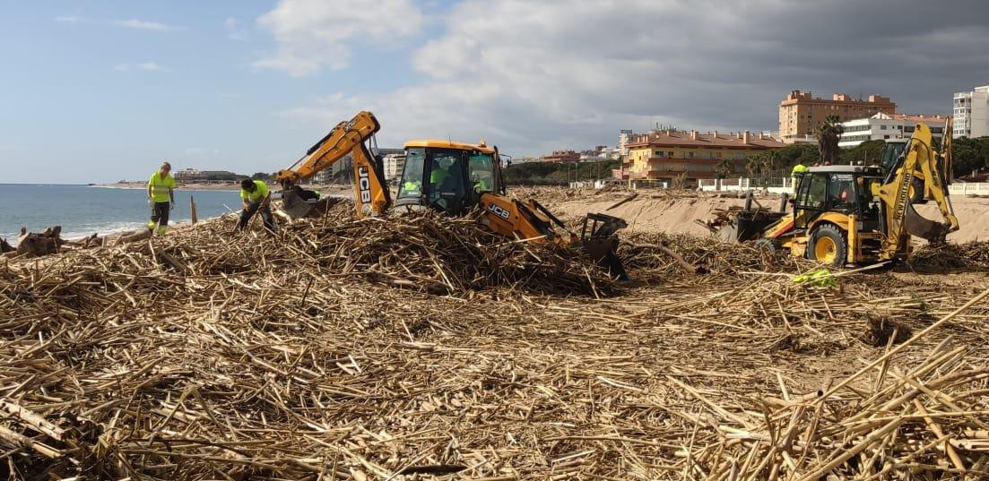 La crema de les canyes del temporal a les platges començarà demà