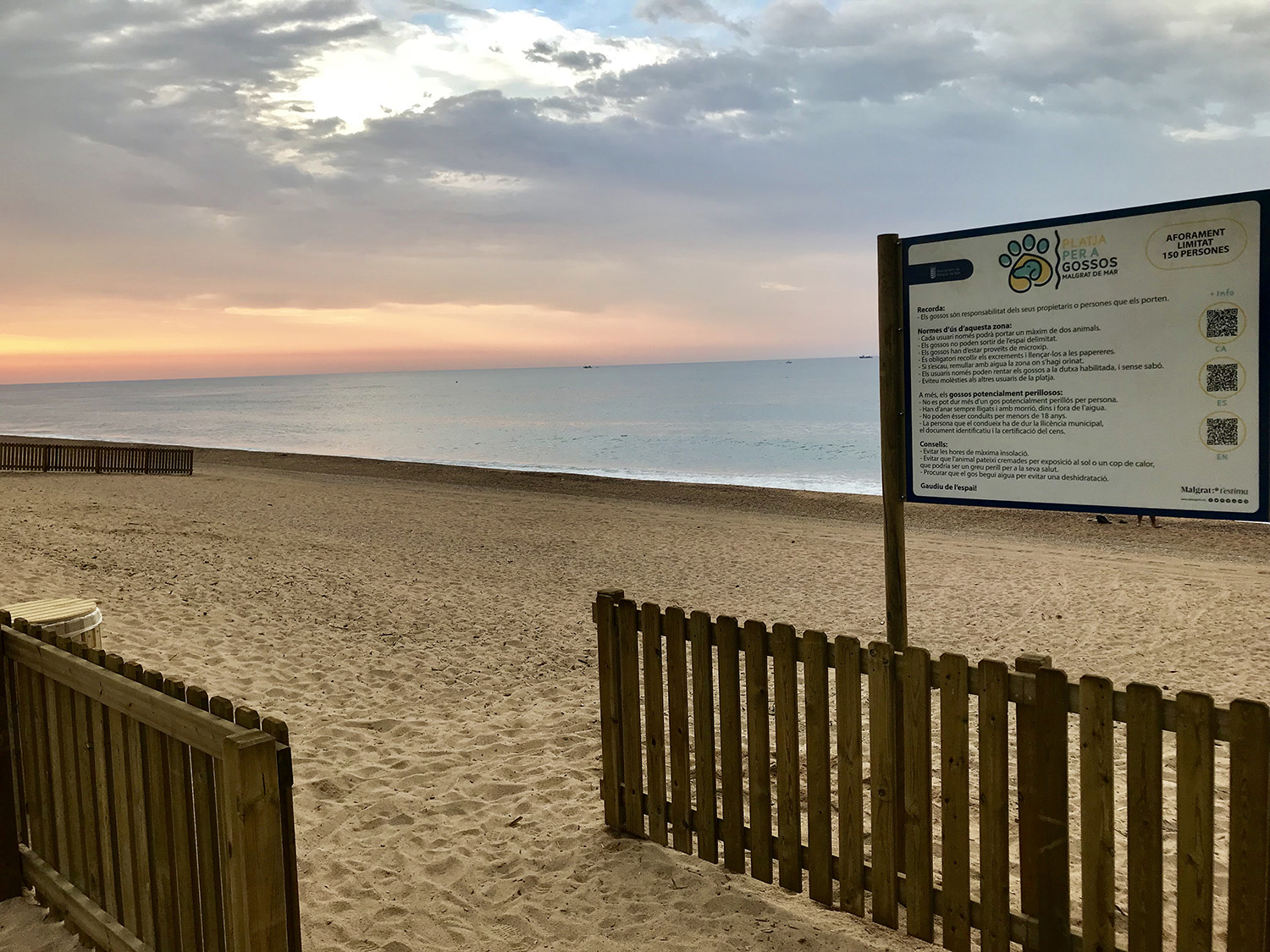 La platja per a gossos és oberta des d'avui dimecres