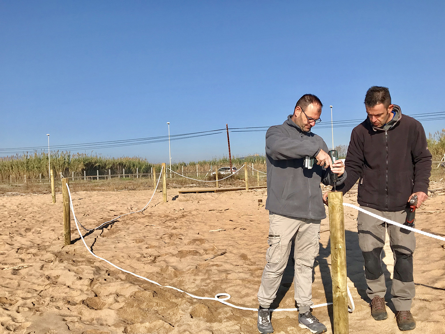 S'enllesteixen les tasques de neteja a la platja de la zona de les psammòfiles 