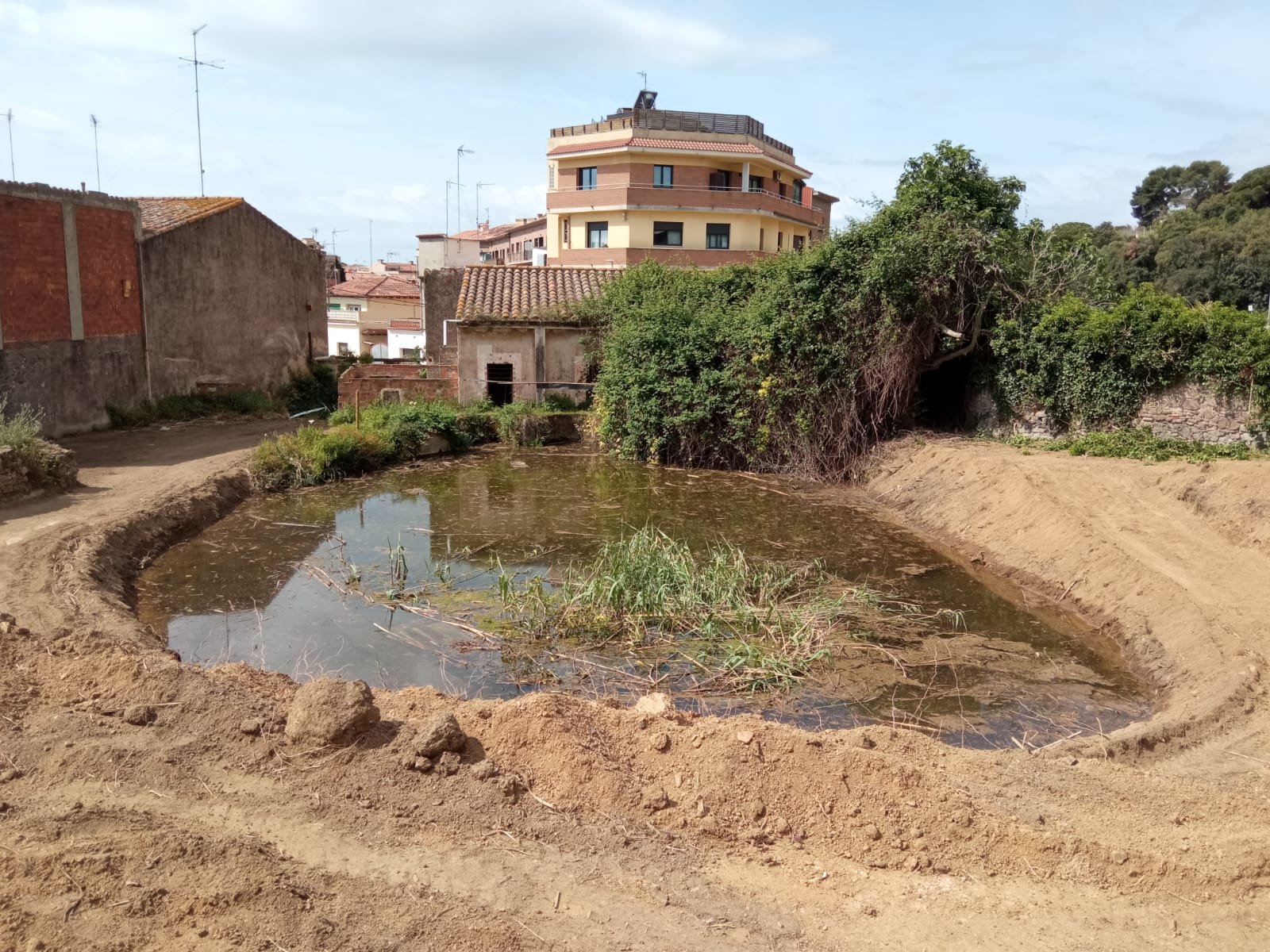 Medi Ambient porta a terme un projecte de millora ecològica de la bassa del Molí de la Sal