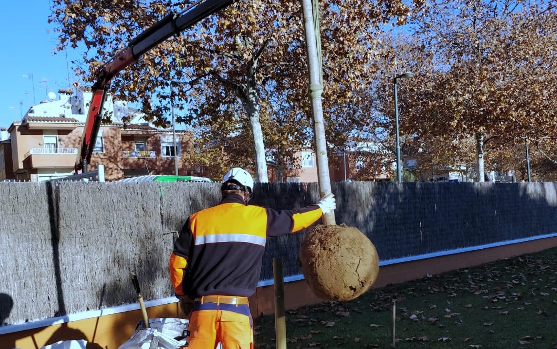 Plantats 60 arbres nous al poble