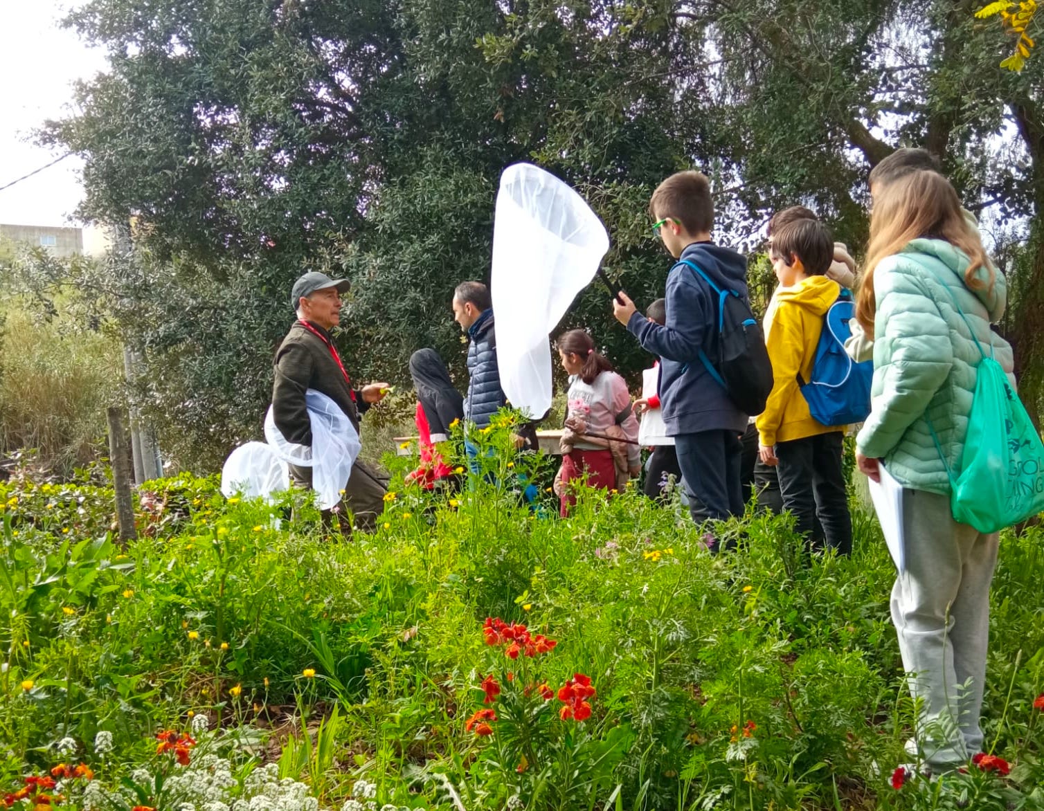 El projecte de ciència ciutadana de papallones urbanes es posa en marxa