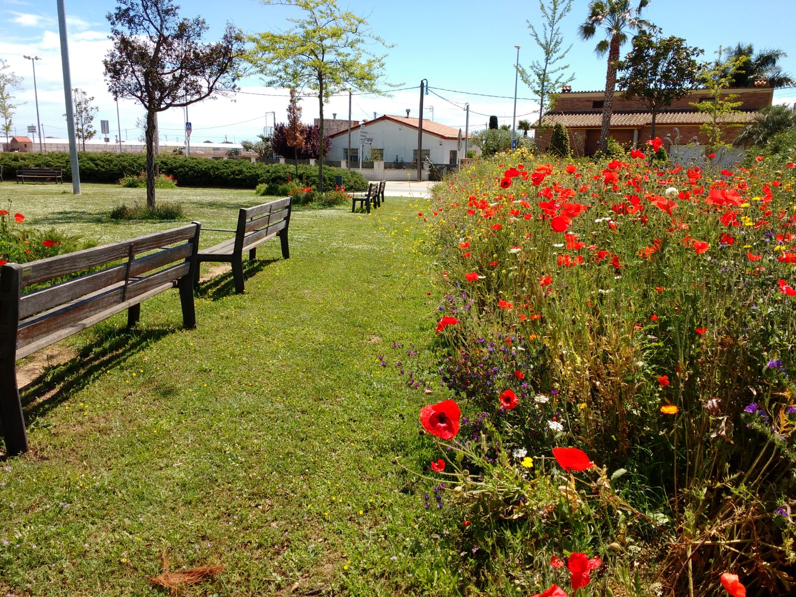 Malgrat acollirà el 7è Fòrum Viles Florides el pròxim 12 d'abril 