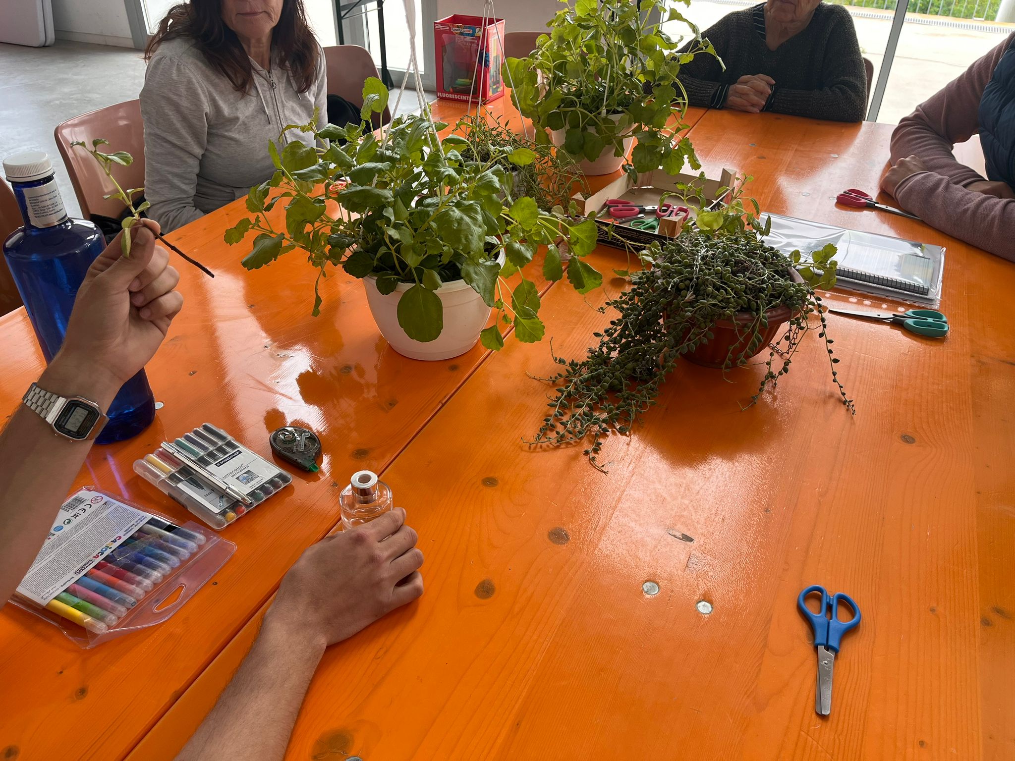 Bona acollida de les píndoles sobre jardineria, llenguatge de signes i pintura del Centre Cívic