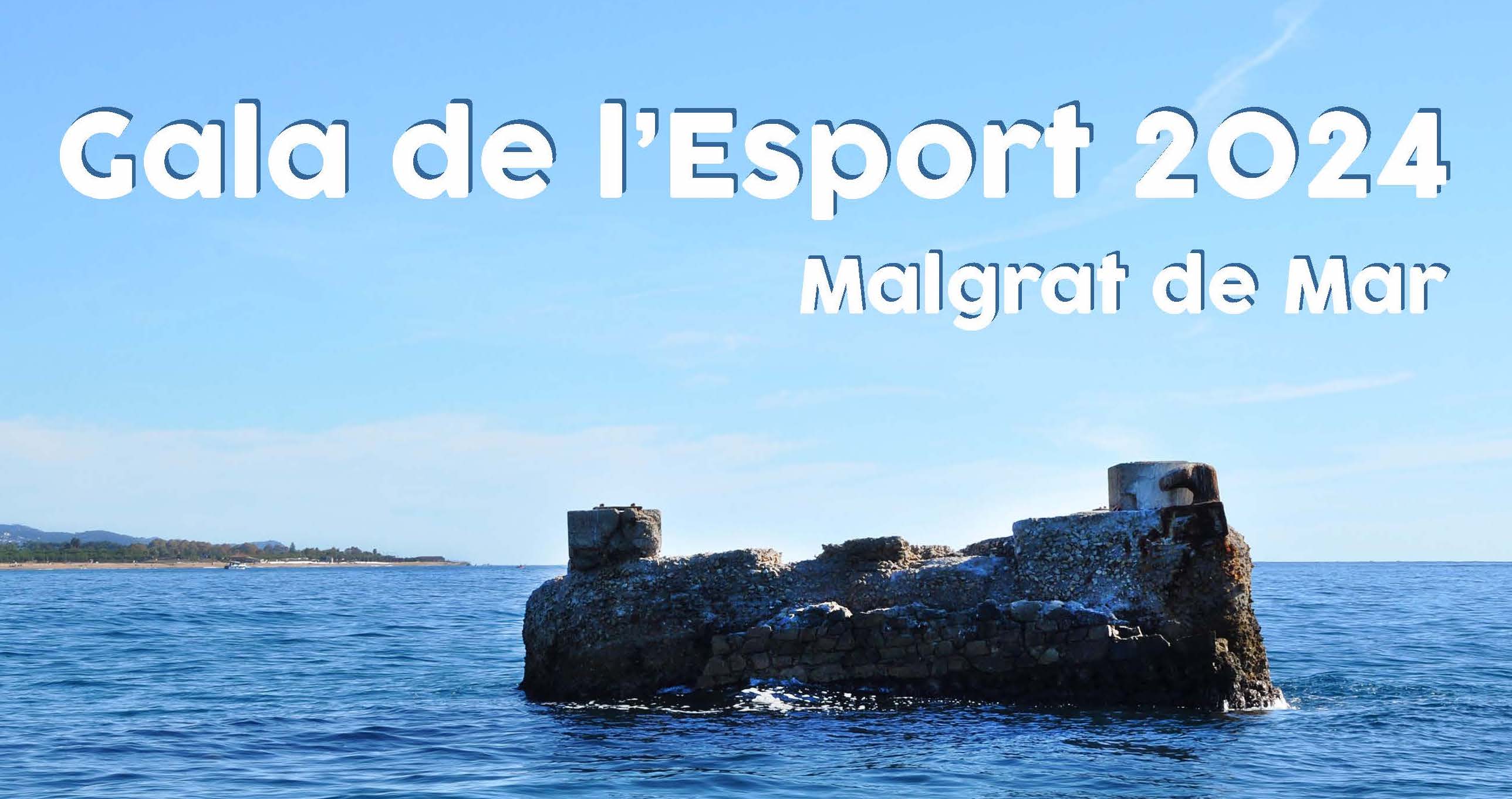 1a Gala de l'Esport, demà dissabte al Pavelló Germans Margall